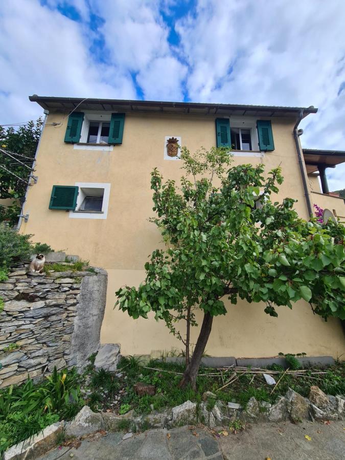 Castrusso Il Frantoio Di Rapallo By Portofinovacanze ภายนอก รูปภาพ
