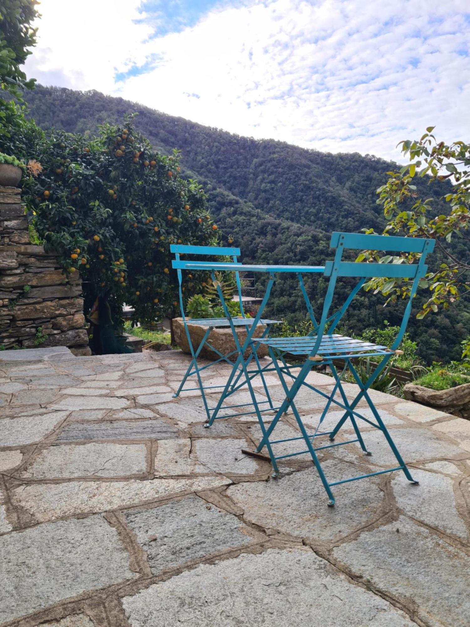 Castrusso Il Frantoio Di Rapallo By Portofinovacanze ภายนอก รูปภาพ